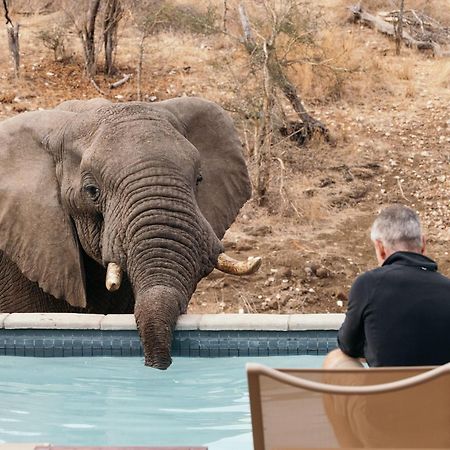 Isambane Camp Villa Balule Game Reserve Exterior photo
