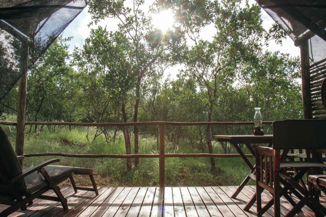 Isambane Camp Villa Balule Game Reserve Exterior photo