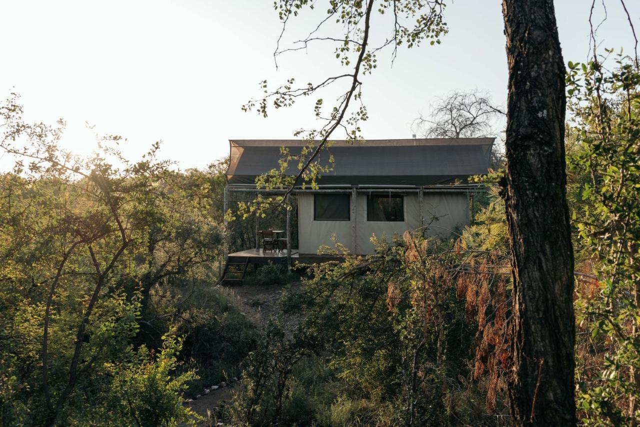 Isambane Camp Villa Balule Game Reserve Exterior photo