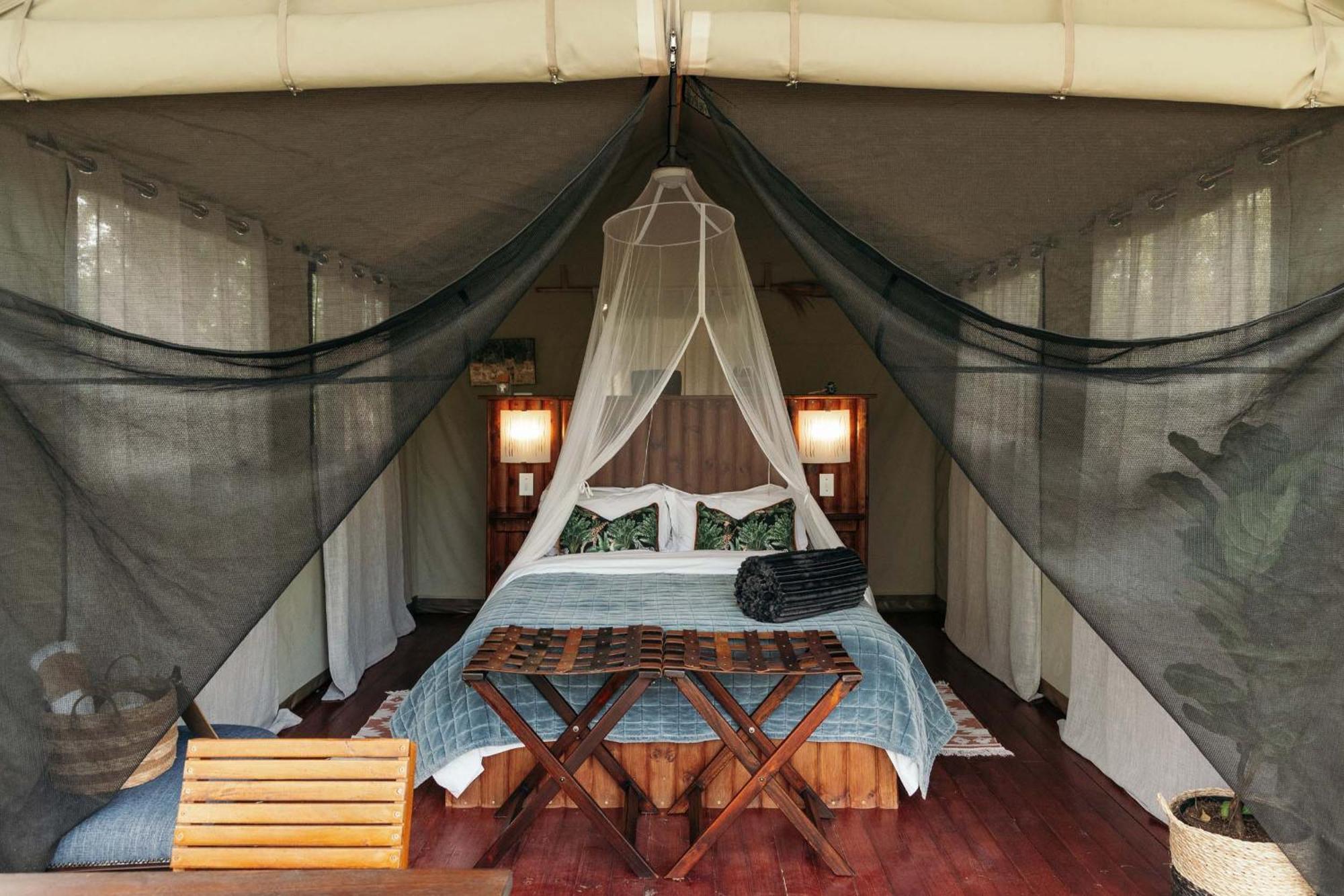 Isambane Camp Villa Balule Game Reserve Exterior photo