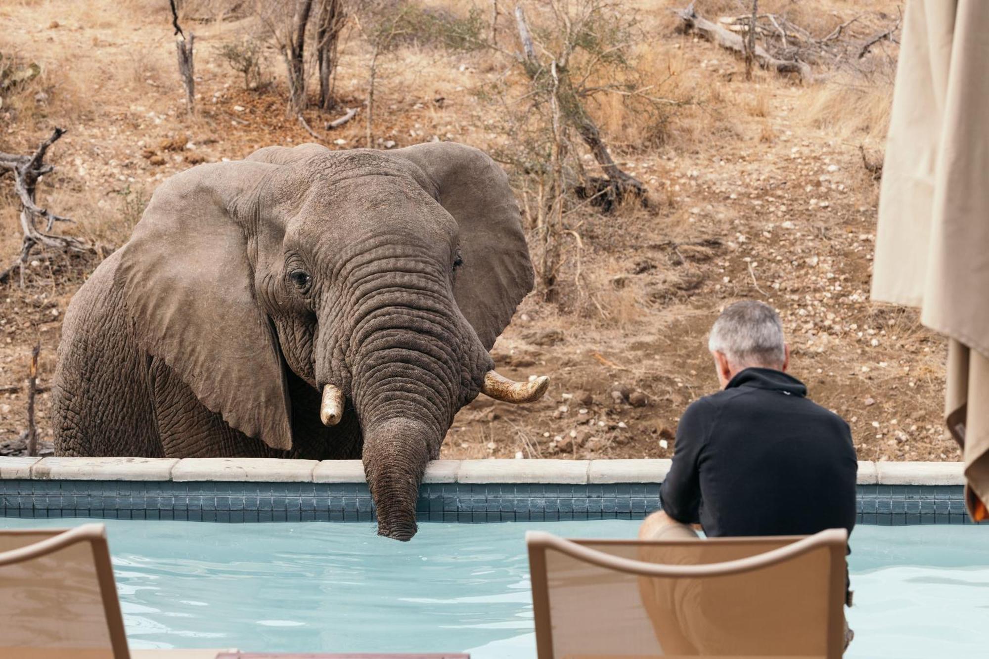 Isambane Camp Villa Balule Game Reserve Exterior photo