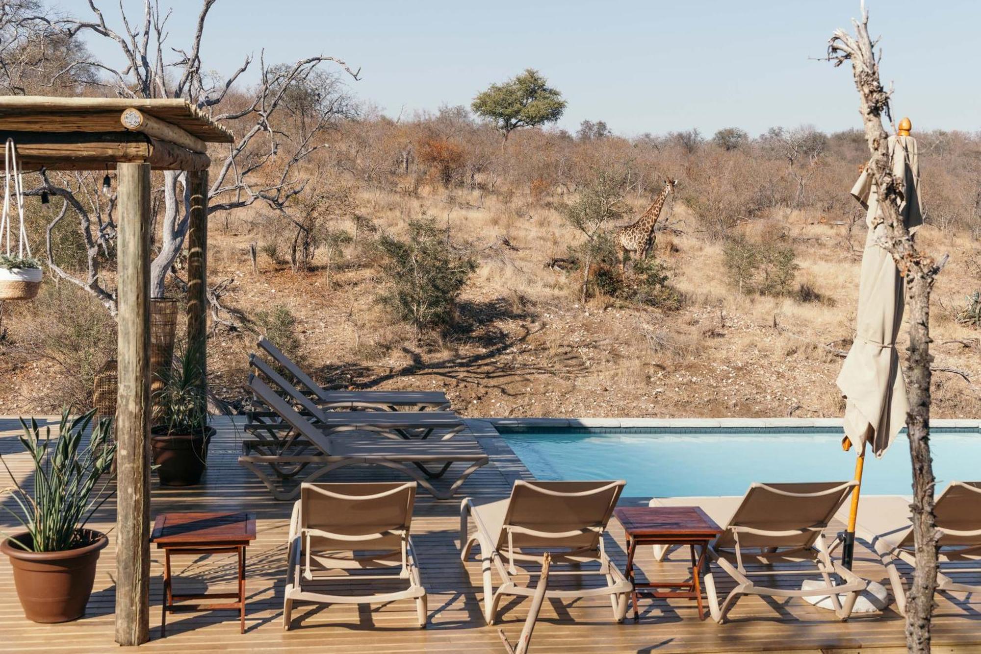 Isambane Camp Villa Balule Game Reserve Exterior photo
