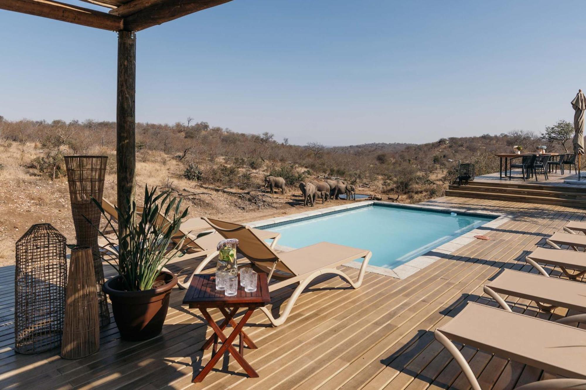 Isambane Camp Villa Balule Game Reserve Exterior photo